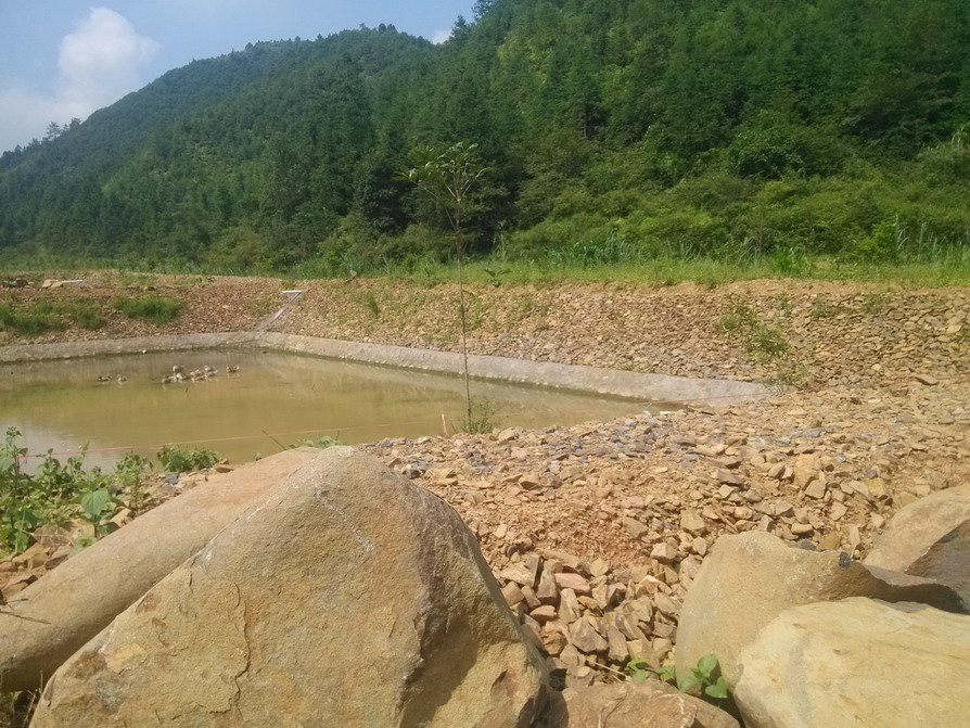 IMG_20130910_103000.JPG