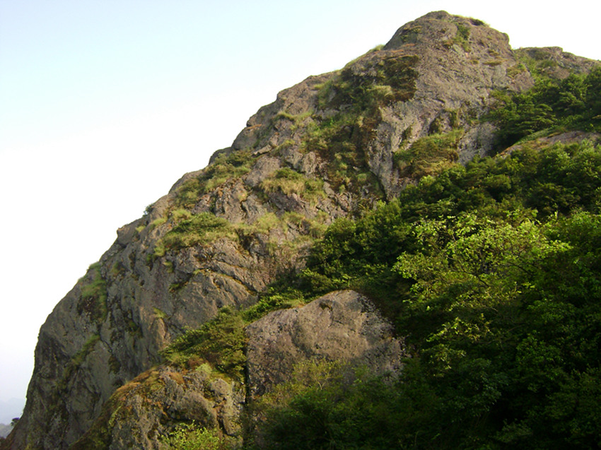 DSC00052_.jpg