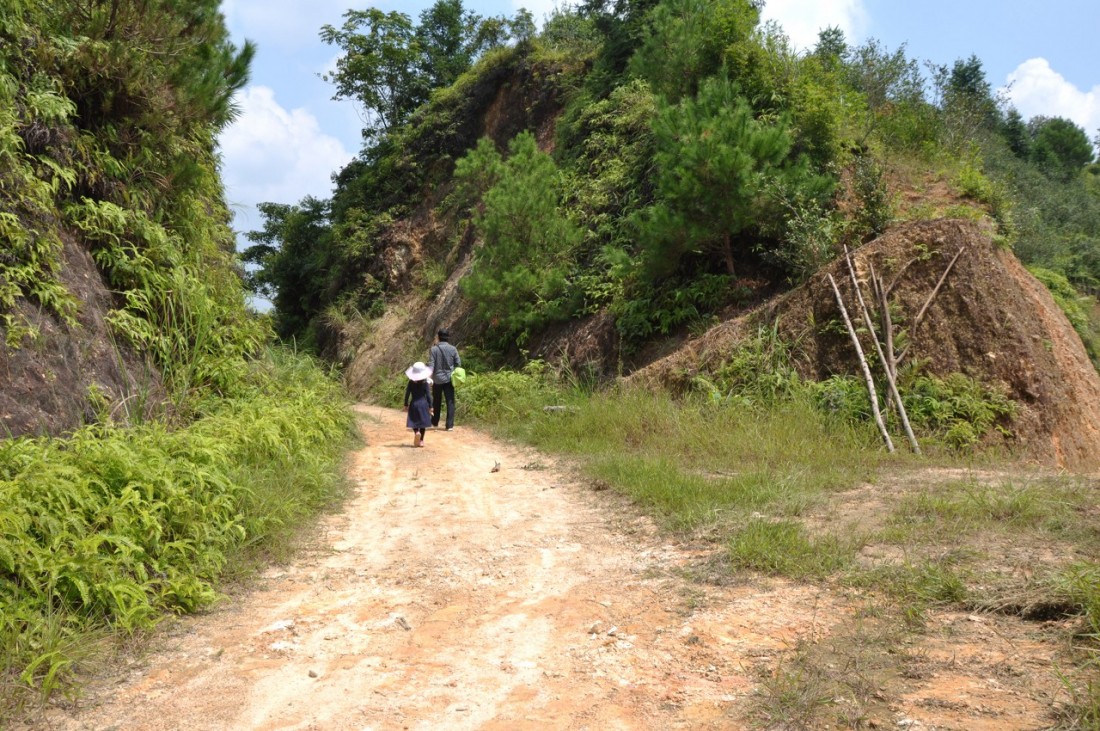 51.jpg