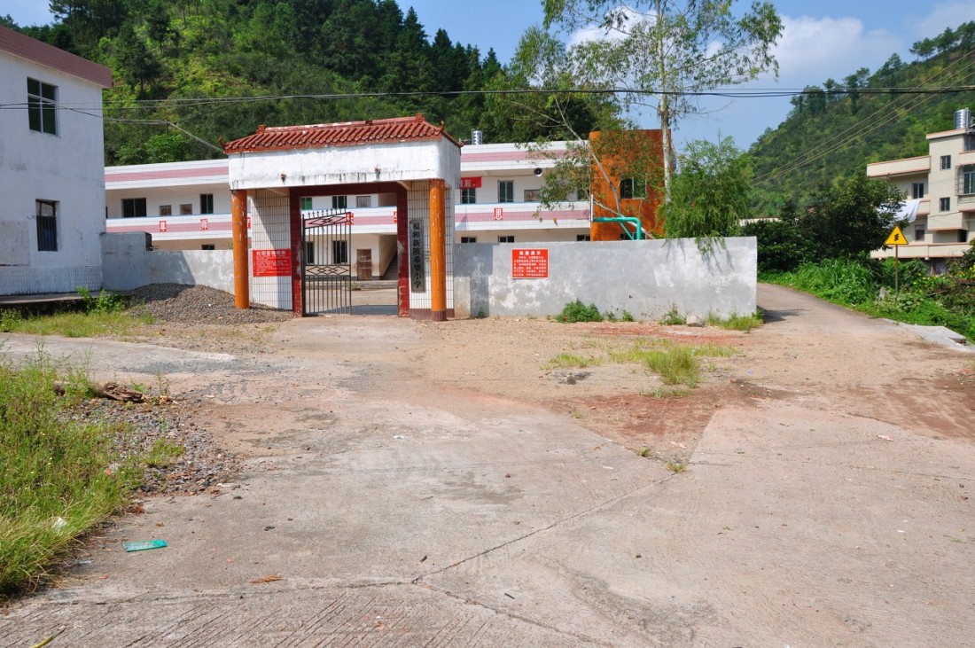 46.jpg