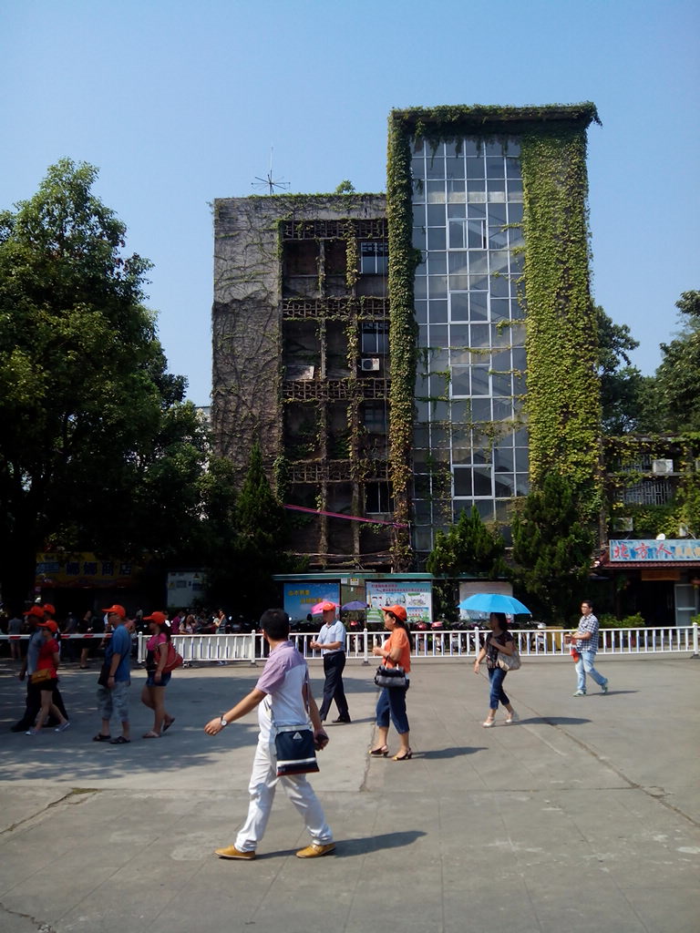 IMG_20130919_104611.jpg