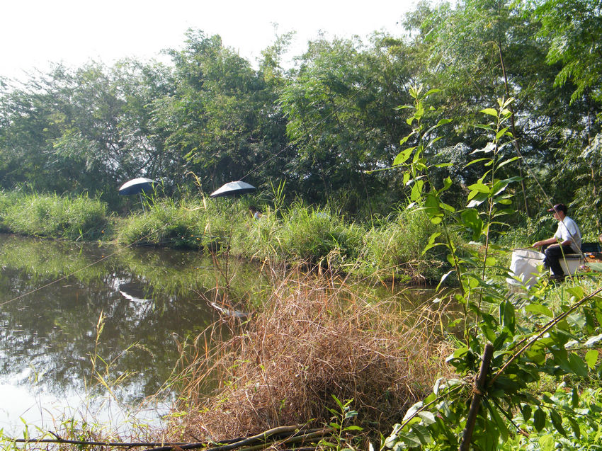 DSCF6003.JPG