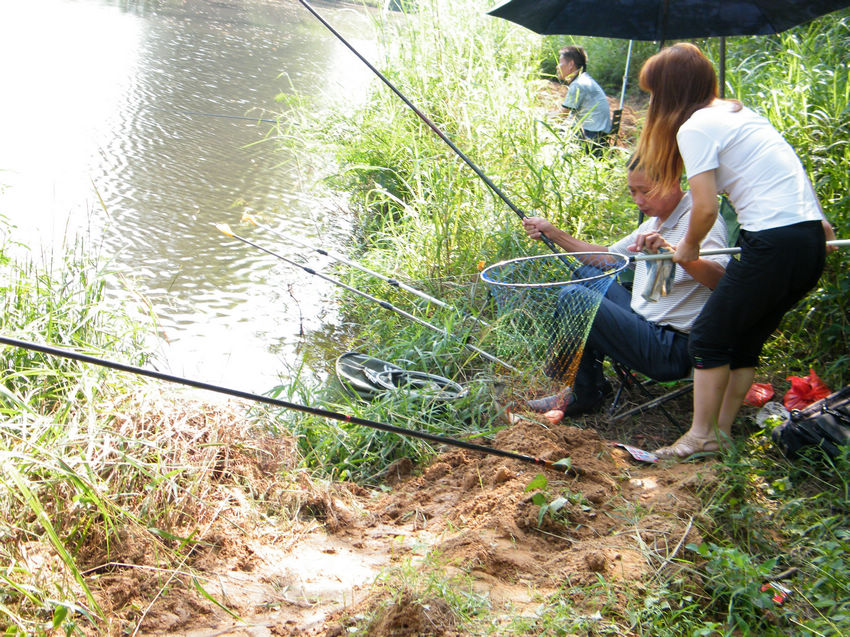 DSCF6006.JPG