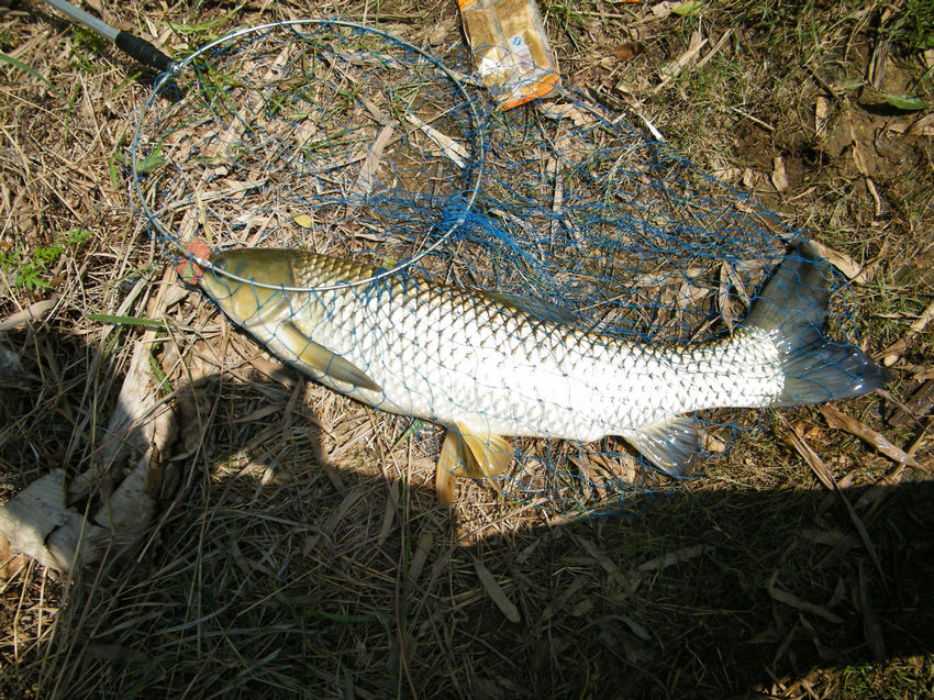 DSCF6008.JPG