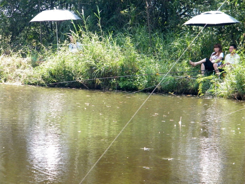 DSCF6013.JPG