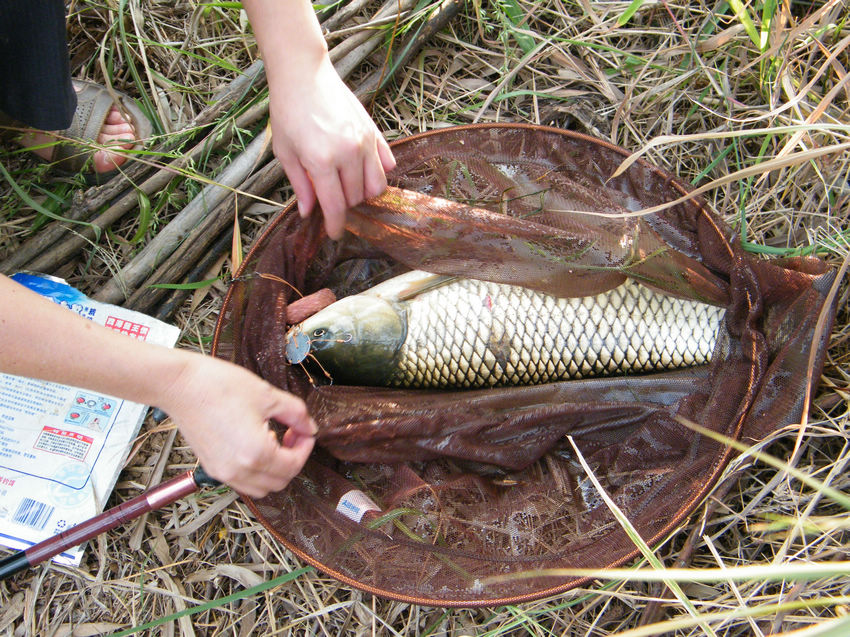 DSCF6014.JPG