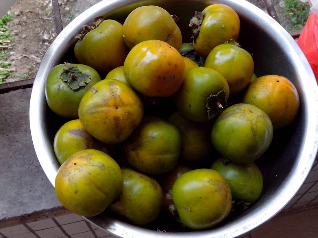 IMG_20131004_165706.jpg