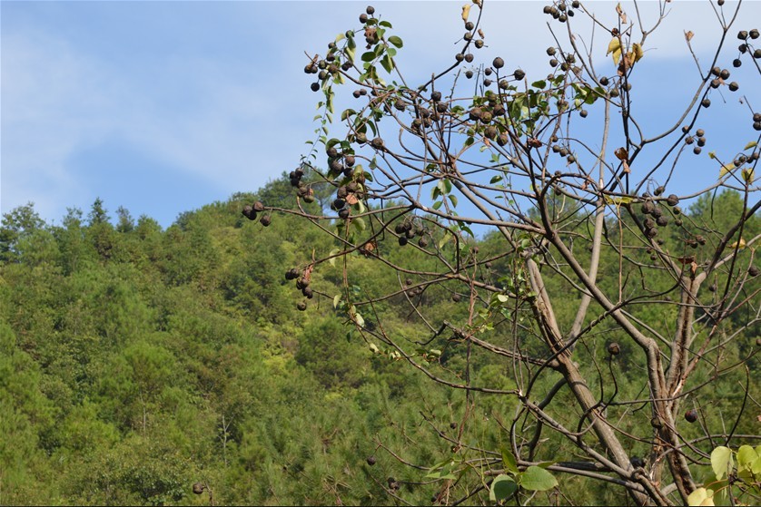 QQͼƬ20131013224139.jpg