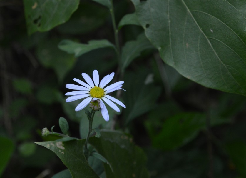 QQͼƬ20131013224358.jpg