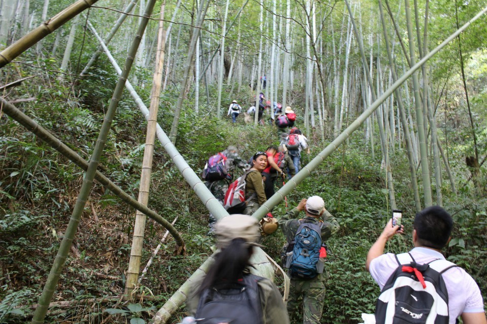 QQͼƬ20131014101313.jpg