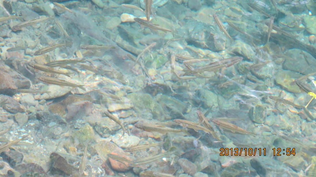 IMG_2004.JPG