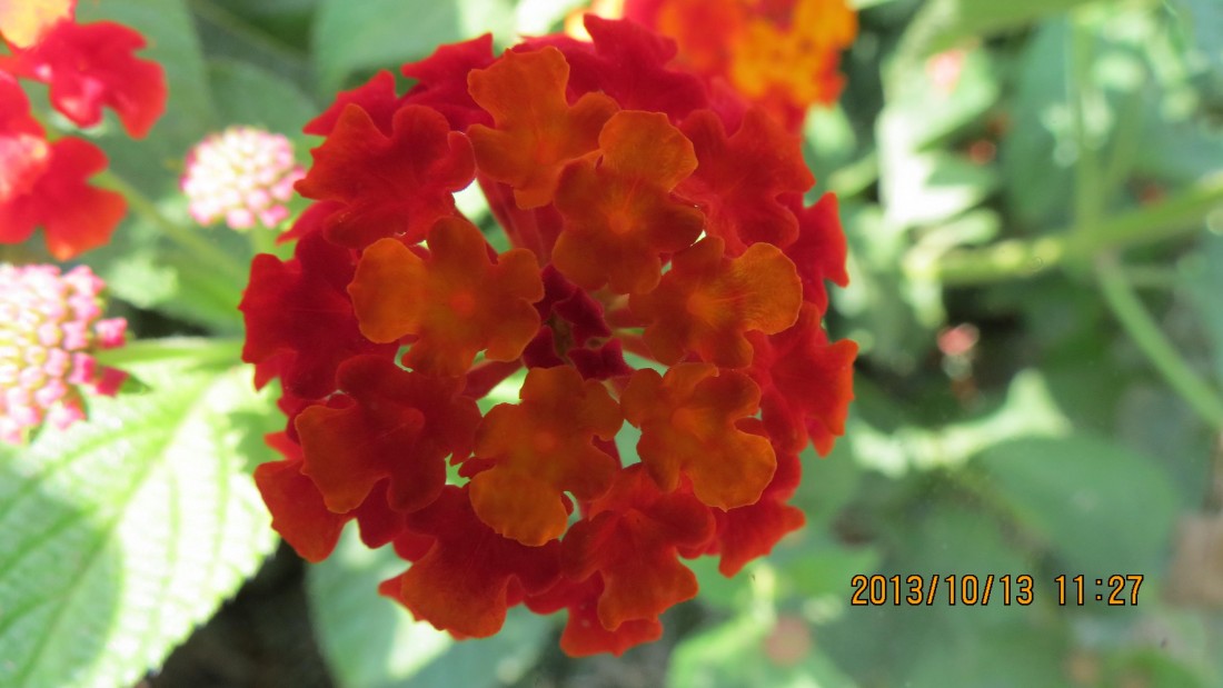 IMG_2578.JPG