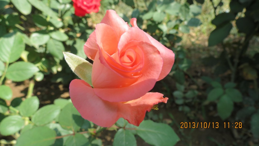 IMG_2580.JPG