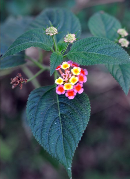 QQͼƬ20131013221453.jpg