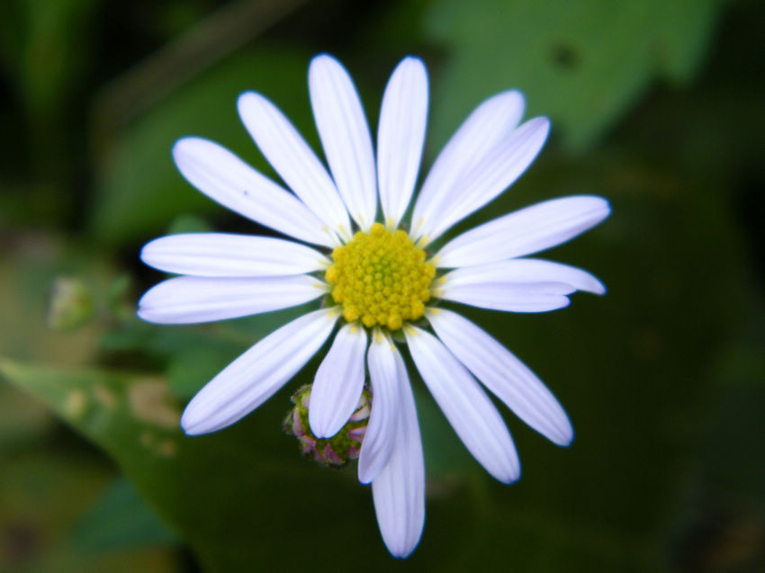 DSCF6211.JPG