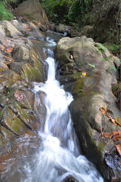 QQͼƬ20131020230026.jpg