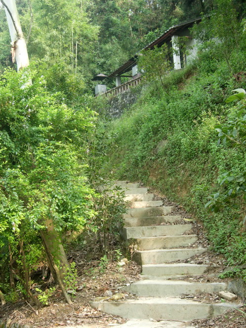 05.jpg