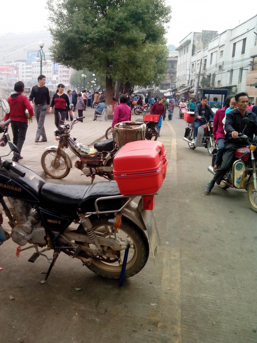 IMG_20131029_085711.jpg