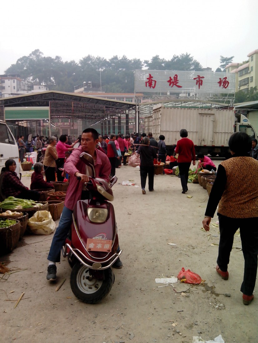 IMG_20131029_085930.jpg