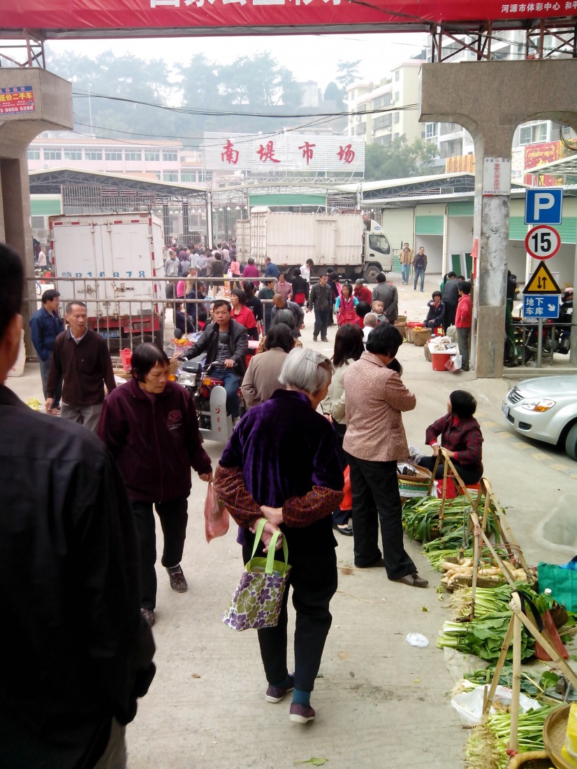 IMG_20131029_090109.jpg
