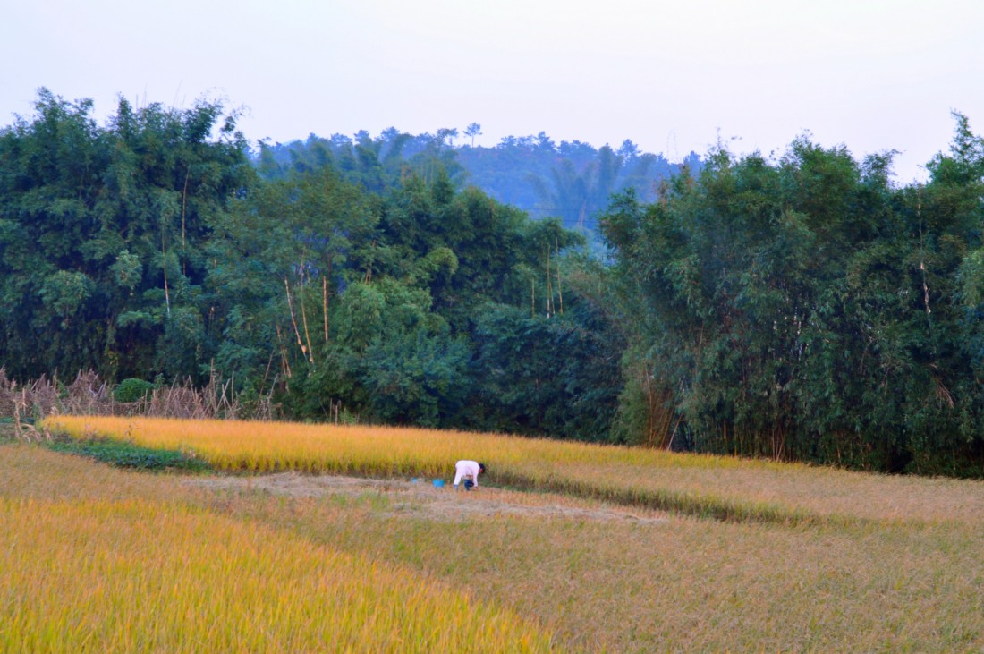 DSC_0623_.jpg