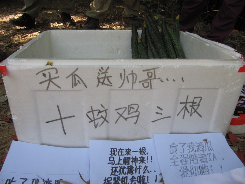 bfc25dc93cc23c0b7162f6ddc4ff5e77_b.jpg