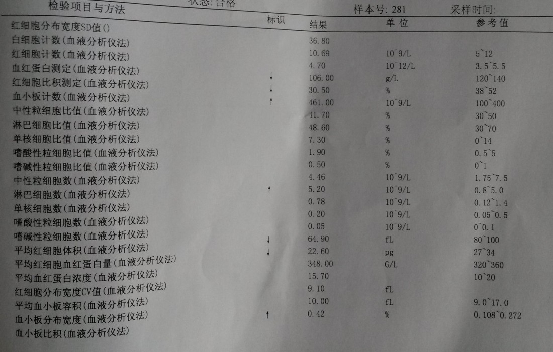 B.jpg