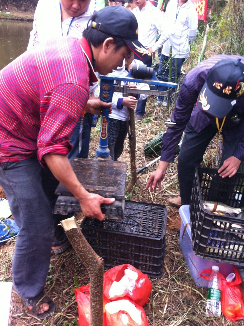 2013-11-12 (6).jpeg