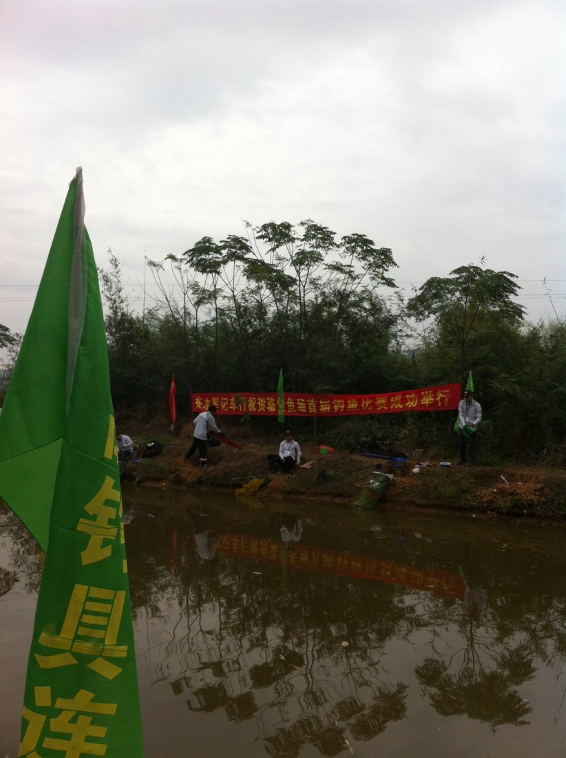 2013-11-12 (17).jpeg