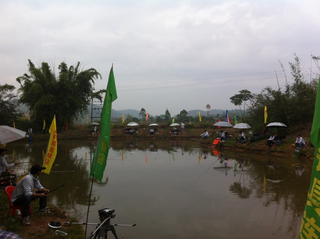 2013-11-12 (21).jpeg