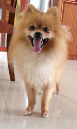 QQͼƬ20131125210521.jpg
