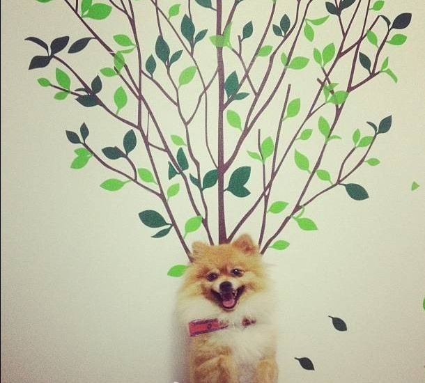 QQͼƬ20131125222335.jpg