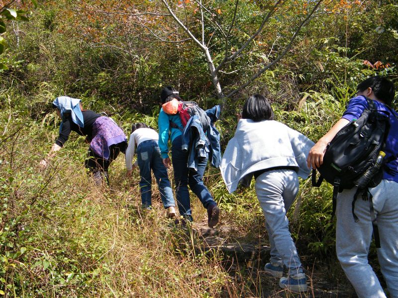 DSCF6187.JPG