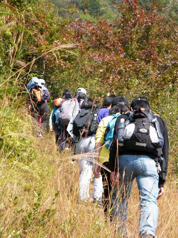 DSCF6178.JPG