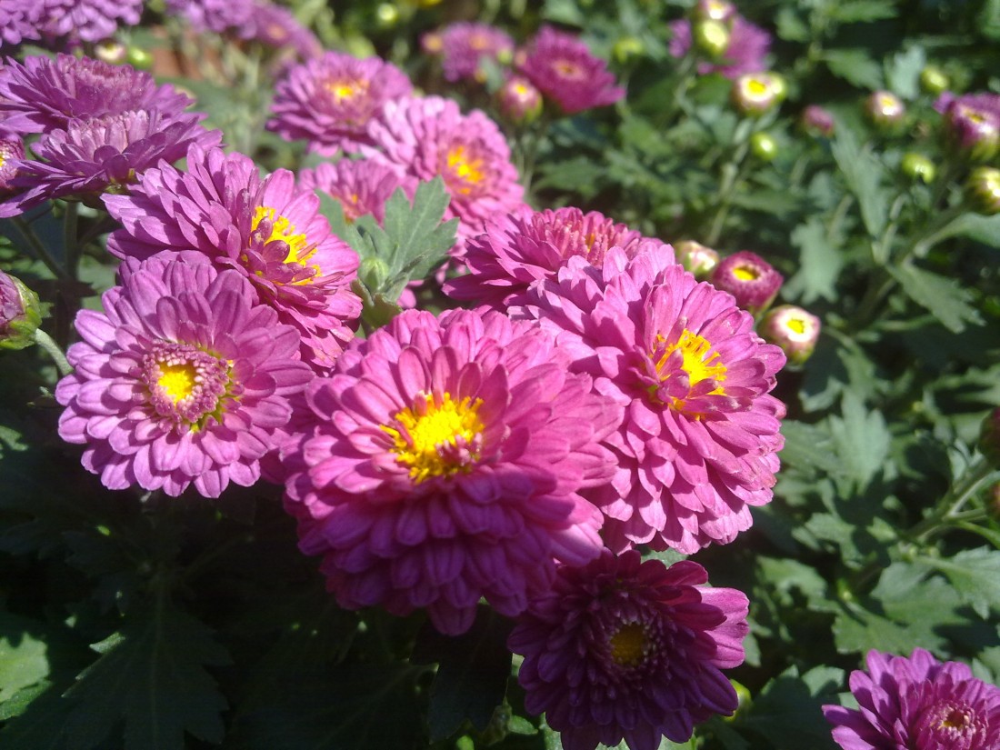 20131201211.jpg