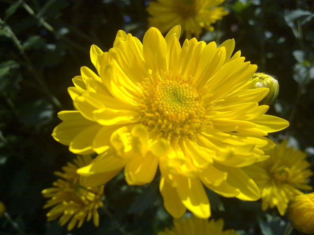 20131201215.jpg