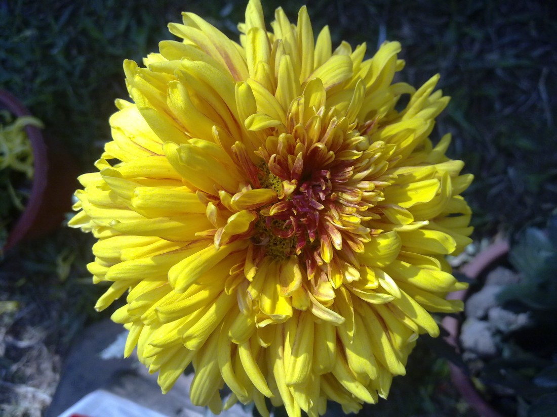 20131201220.jpg
