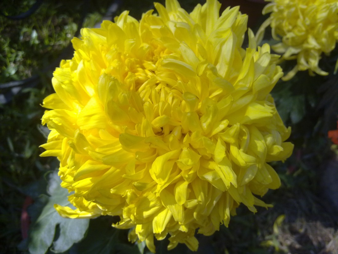 20131201221.jpg