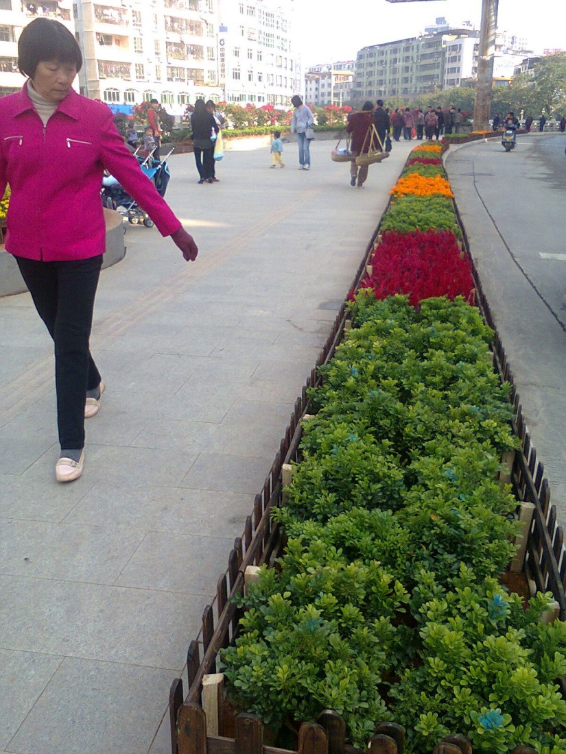 Ƭ0235.jpg