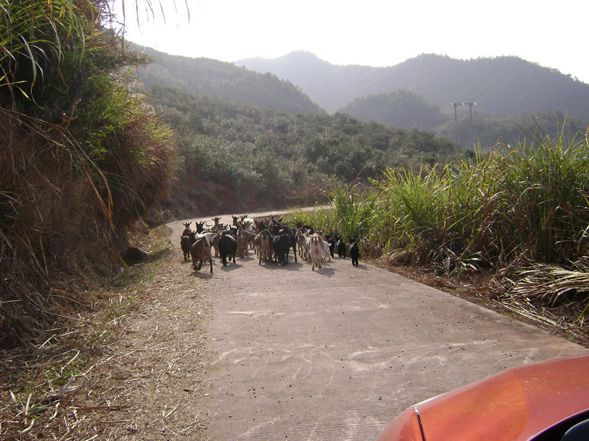 DSC00488_.jpg
