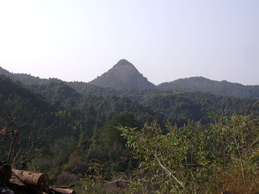 DSC00490_.jpg