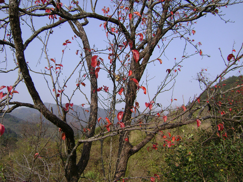 DSC00493_.jpg