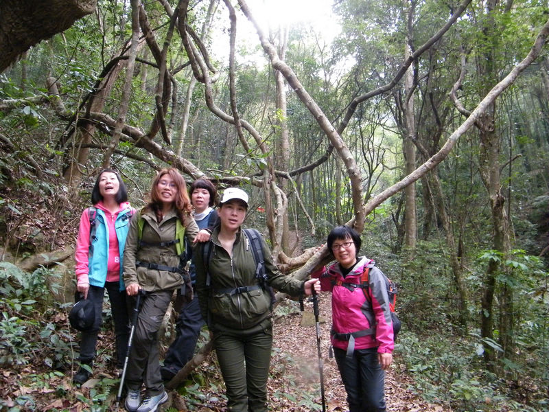 DSCF0086.JPG