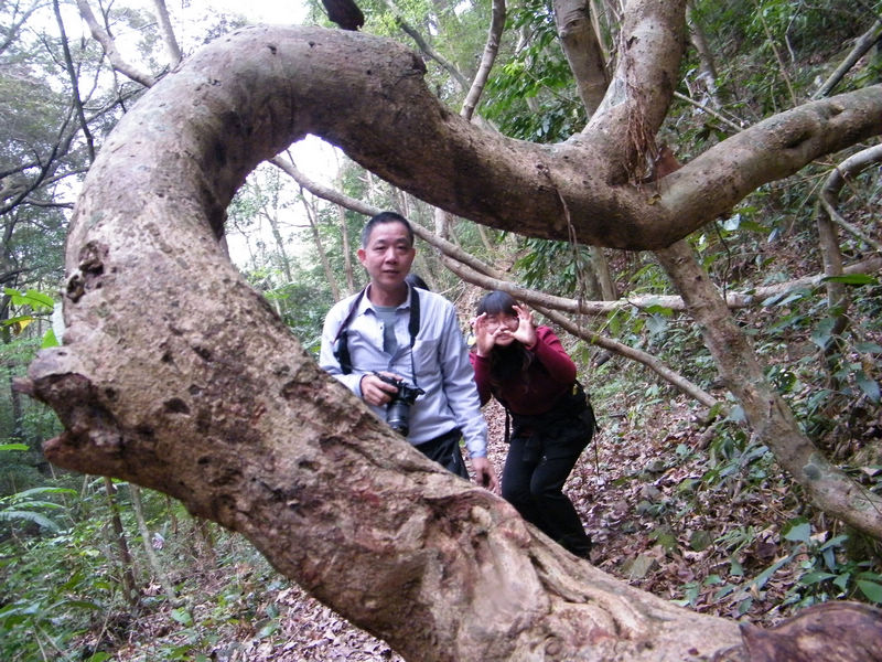DSCF0094.JPG