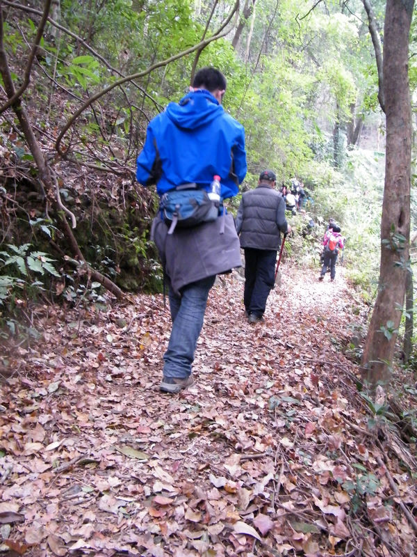 DSCF0115.JPG