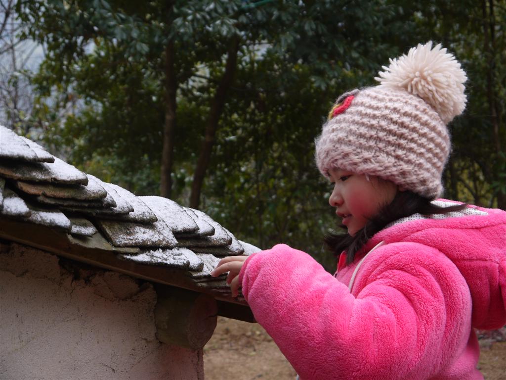 P1170148 (Large).JPG