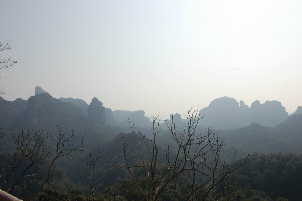 DSC_2935.JPG