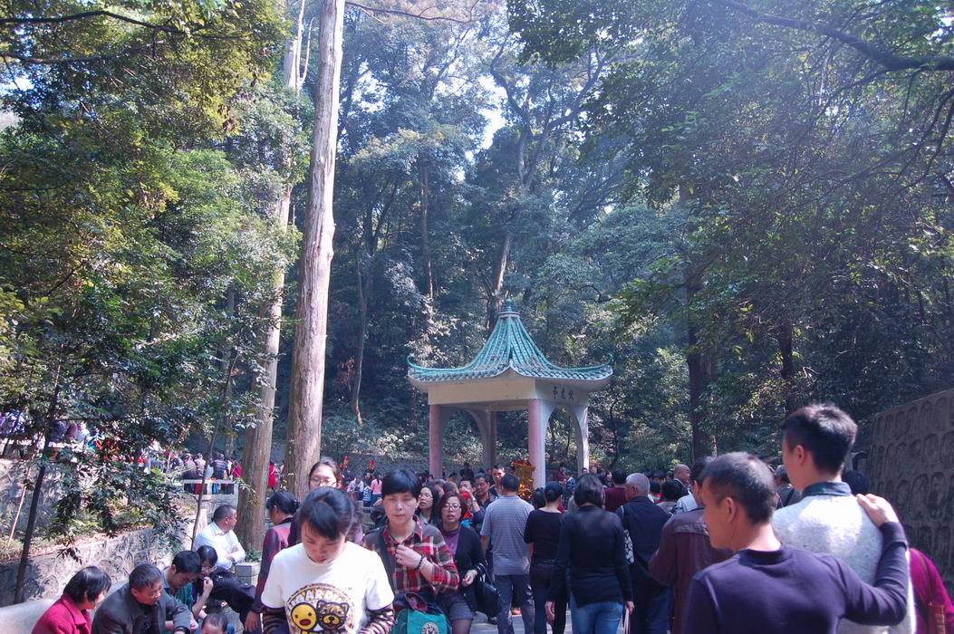 DSC_3013.JPG