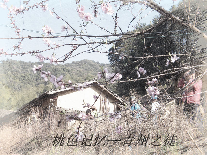 DSCF0353.jpg