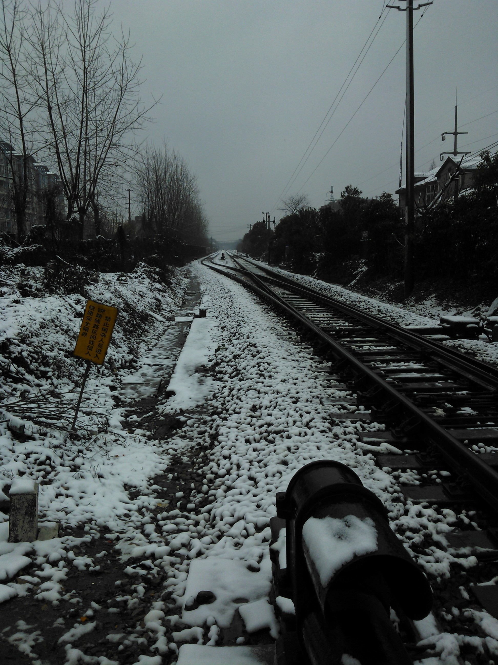 PhotoChooser-9d710652-6fb6-4d1d-a34a-808511fc4620.jpg